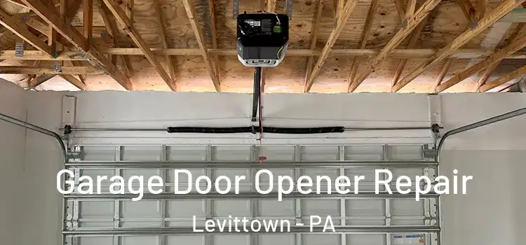  Garage Door Opener Repair Levittown - PA