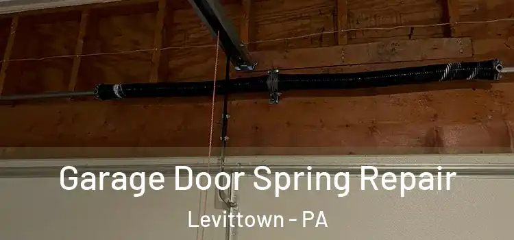  Garage Door Spring Repair Levittown - PA