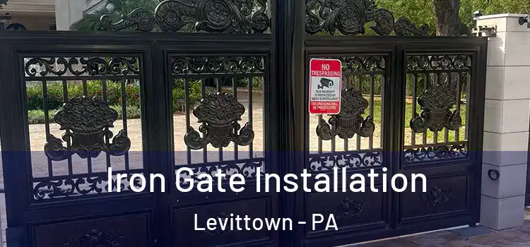 Iron Gate Installation Levittown - PA