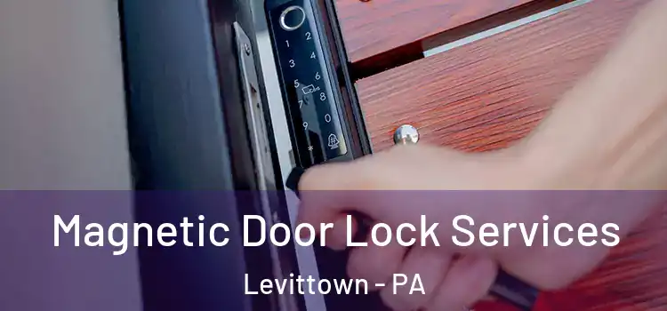 Magnetic Door Lock Services Levittown - PA