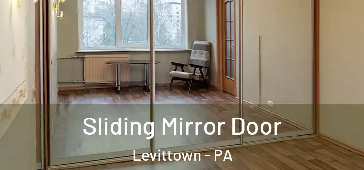  Sliding Mirror Door Levittown - PA